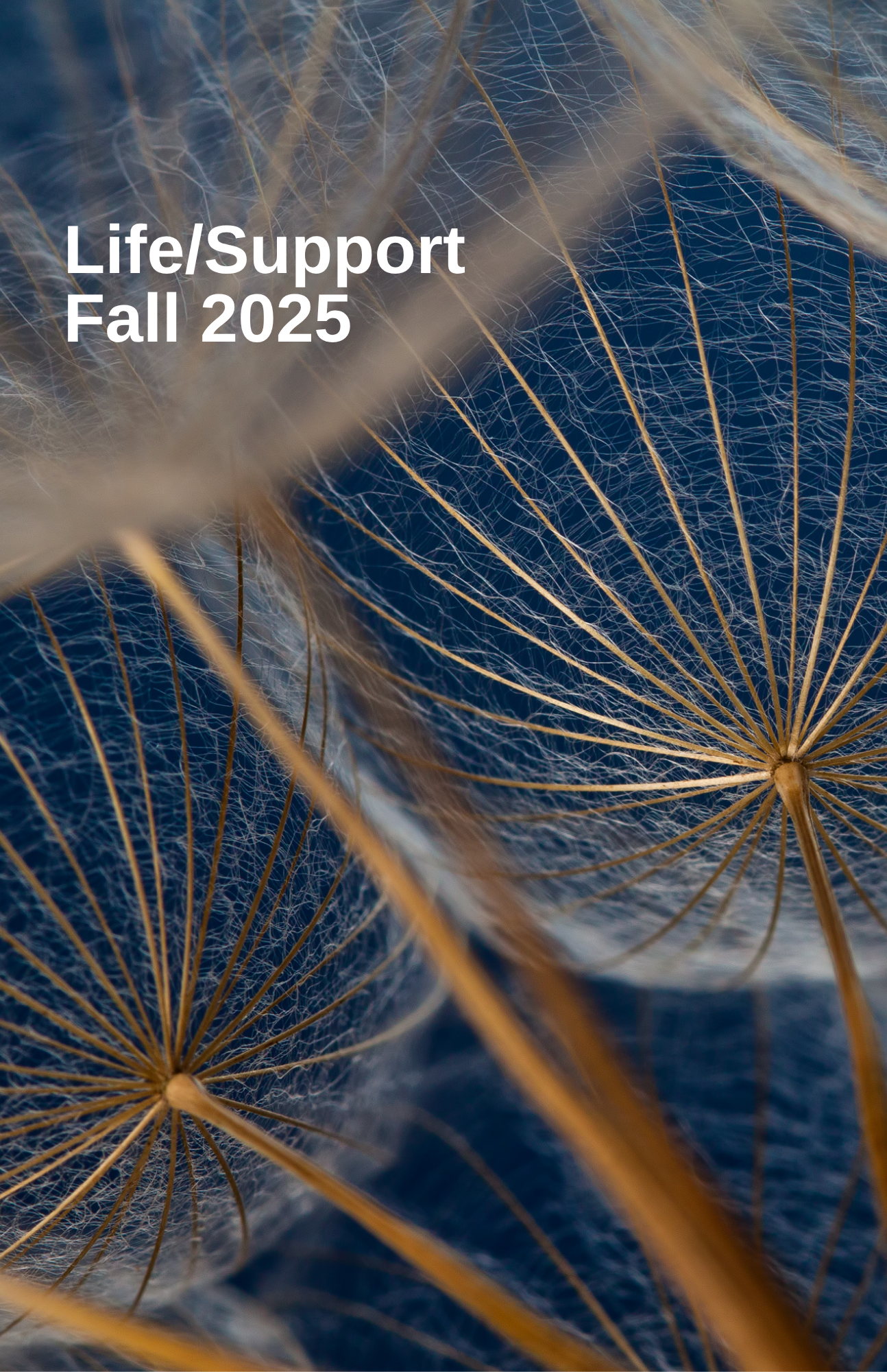 Spring 2025 Remediation theme image w/text